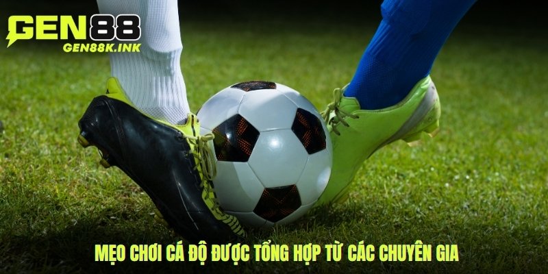Mẹo chơi cá độ được tổng hợp từ các chuyên gia